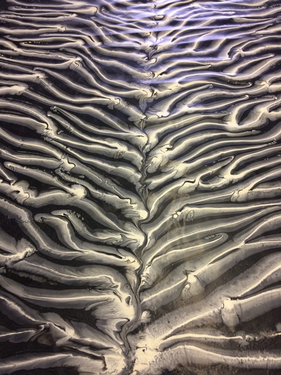 2018-01-02-12.54.58-e1515243915252 Bone Zebra