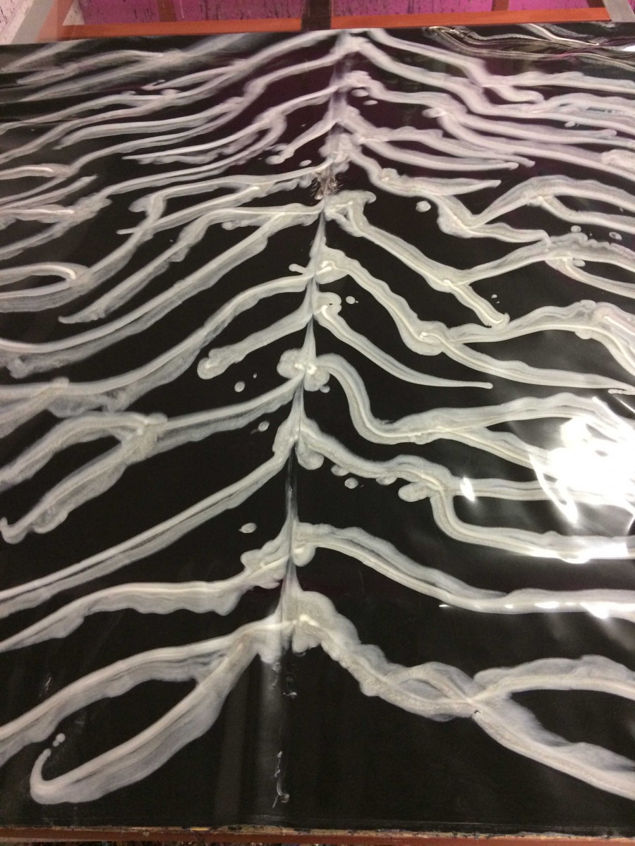 2018-01-20-15.26.28-1