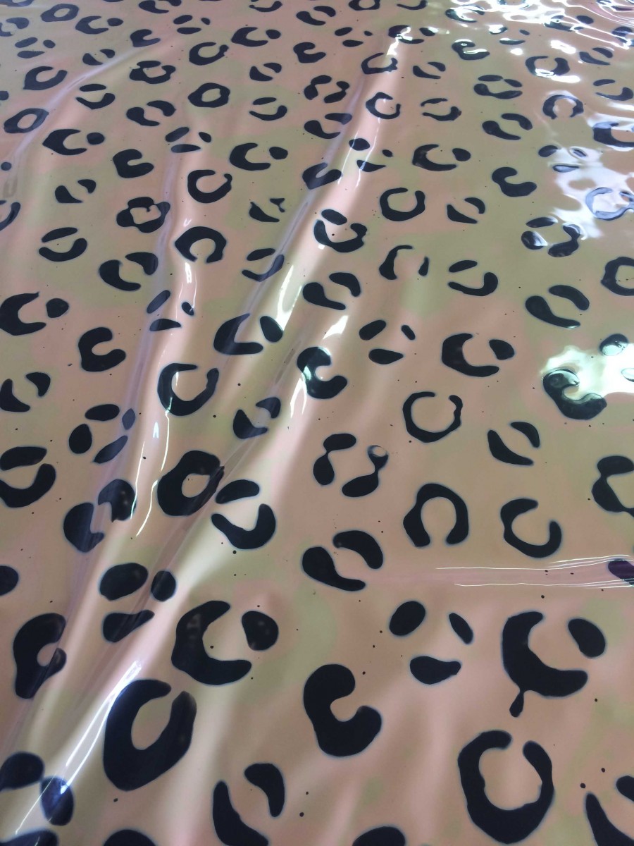 2018-01-25-12.20.02-1