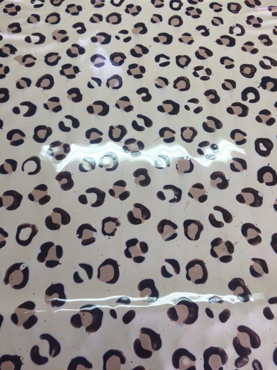 2018-01-25-12.24.49-1