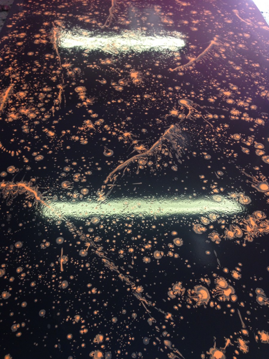 IMG_0590-1 Yummy Gummy Latex Splatter Latex, Orange splatters on black