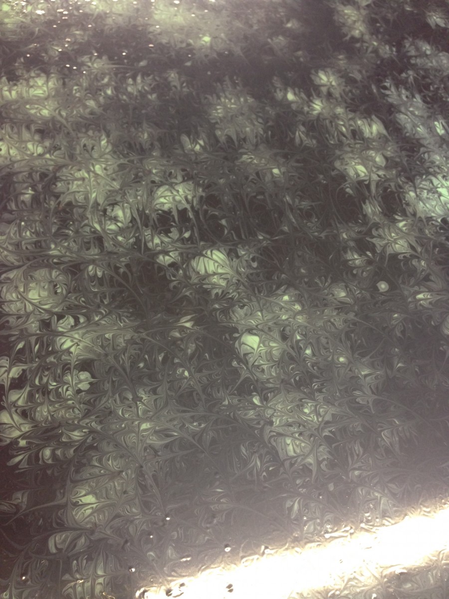 IMG_4940 Multi Directional Drag marble